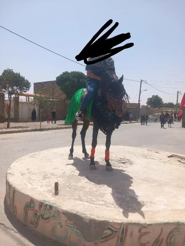 اسب|اسب و تجهیزات اسب‌سواری|ساروق, |دیوار