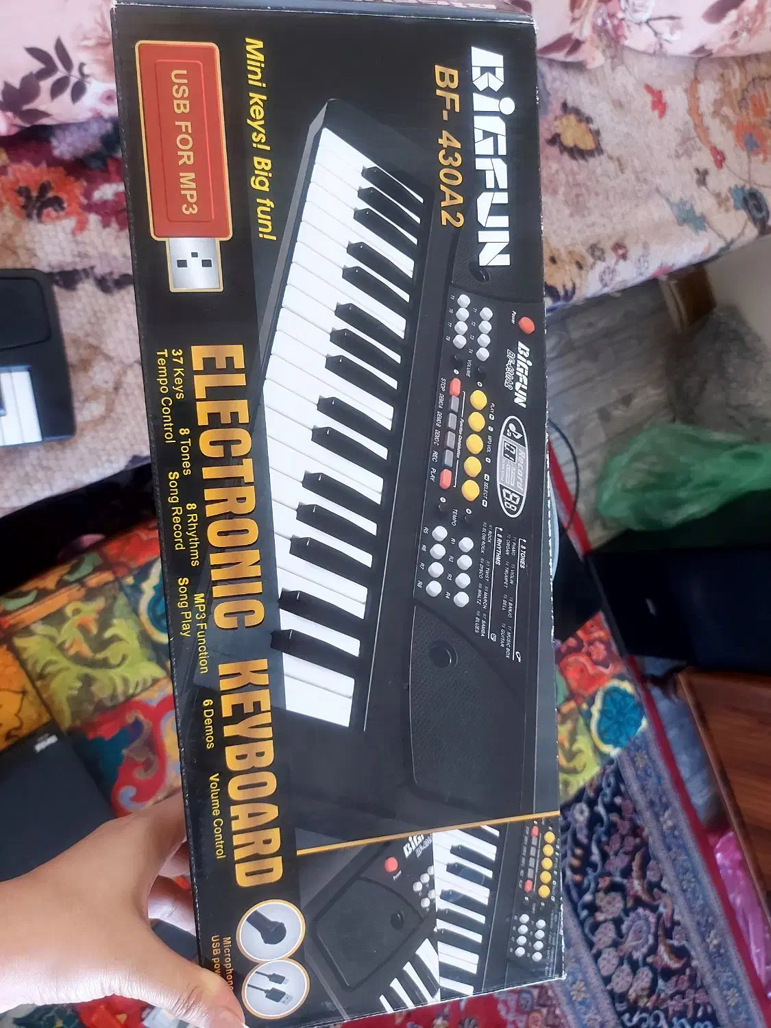 ارگ تمرینی|پیانو، کیبورد، آکاردئون|مشکیندشت, |دیوار