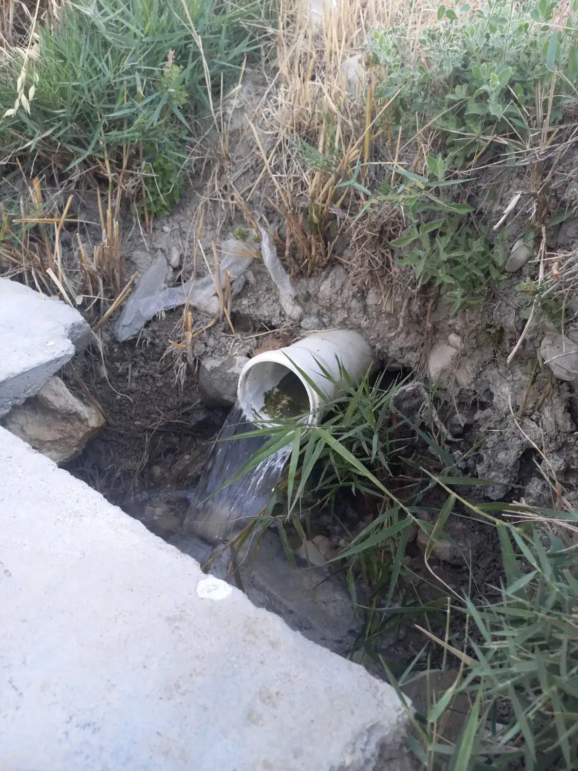 باغ|فروش دفتر صنعتی، کشاورزی، تجاری|گهواره, |دیوار