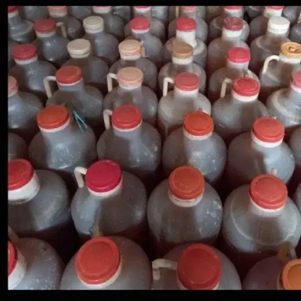 اعسل|خوردنی و آشامیدنی|سبزوار, عظیمیان|دیوار