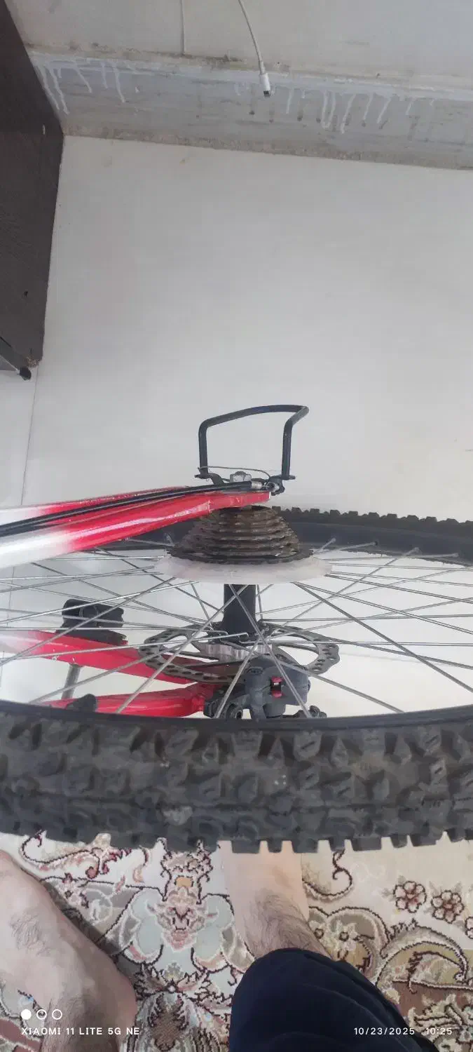 دوچرخه ۲۶ آساک|دوچرخه، اسکیت، اسکوتر|کاشمر, |دیوار