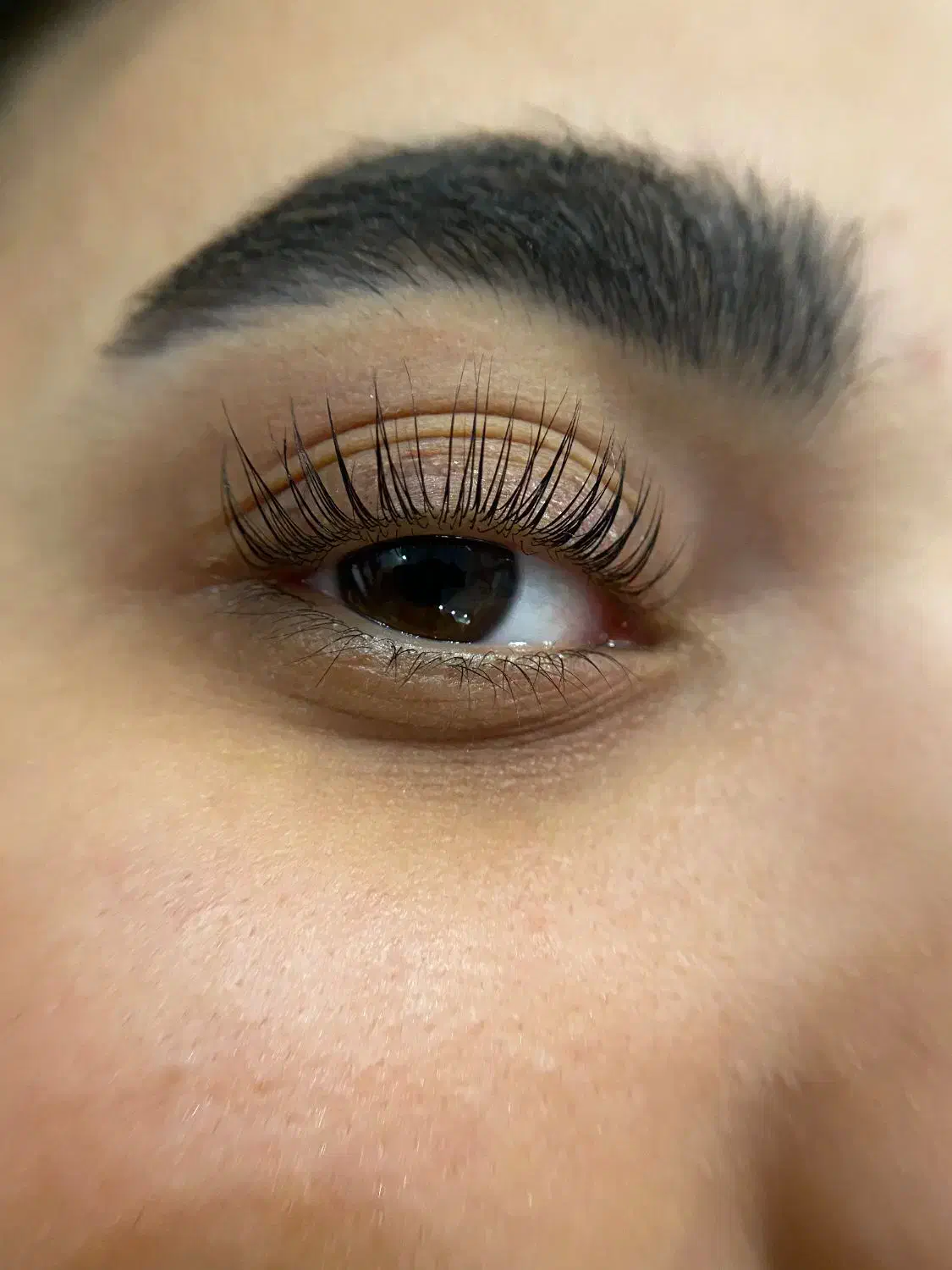 رایگان لیفت ‌مژه رایگان برای عکاسی پیج|خدمات آرایشگری و زیبایی|آمل, |دیوار