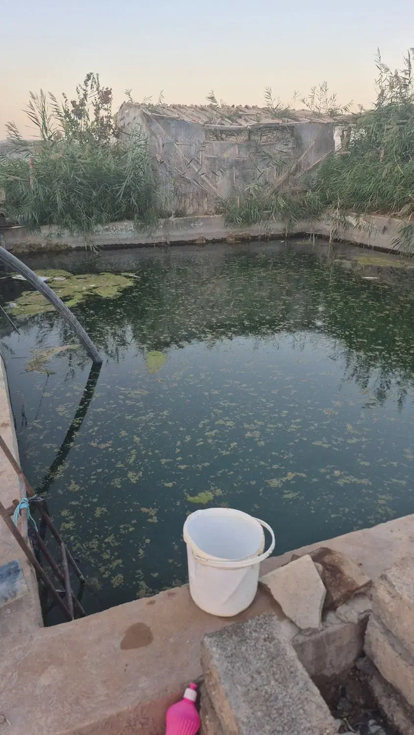 گلخانه سنتی|فروش دفتر صنعتی، کشاورزی، تجاری|فولادشهر, A2|دیوار