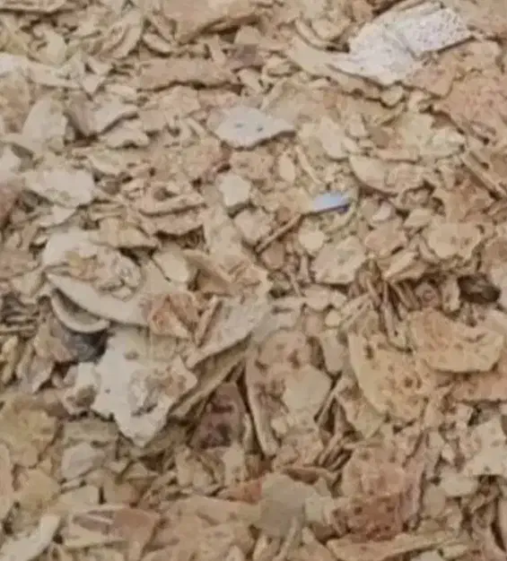 نون خشک|خوردنی و آشامیدنی|تربت جام, جامرود|دیوار