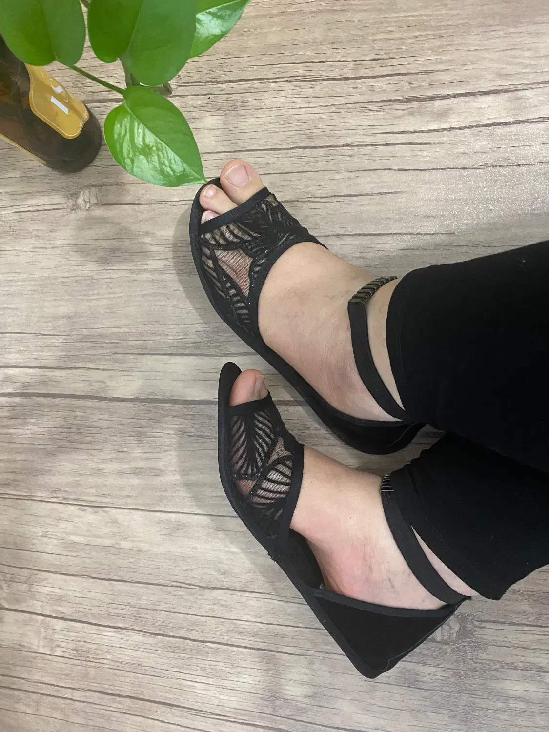 پاپوش مجلسی|لباس|شهرضا, |دیوار