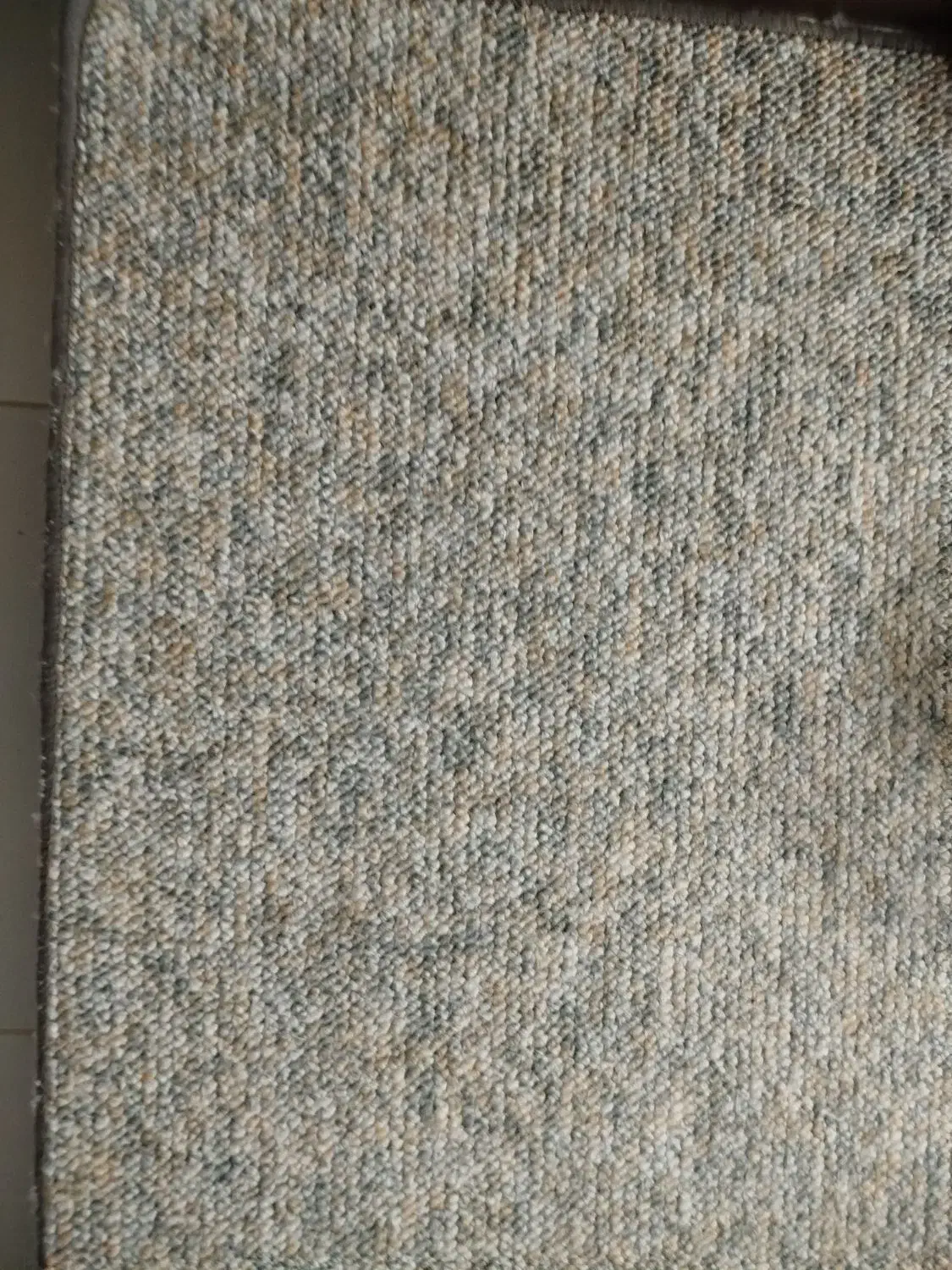 موکت.پالاز.مدل پامچال|موکت|قدس, شهرقدس|دیوار