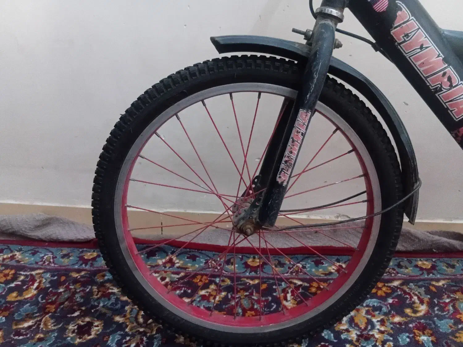 دوچرخه ۲۰|دوچرخه، اسکیت، اسکوتر|شوشتر, |دیوار