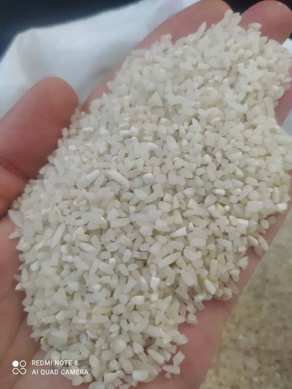 نیم دانه کشت دوم طارم هاشمی شمال|خوردنی و آشامیدنی|اصفهان, هوانیروز|دیوار