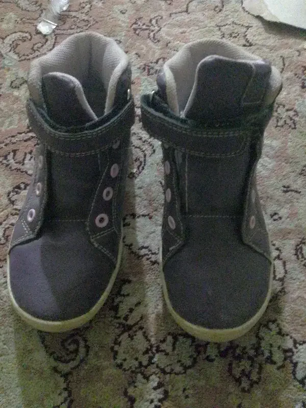 کتونی مارک|کیف، کفش، کمربند|قیدار, |دیوار