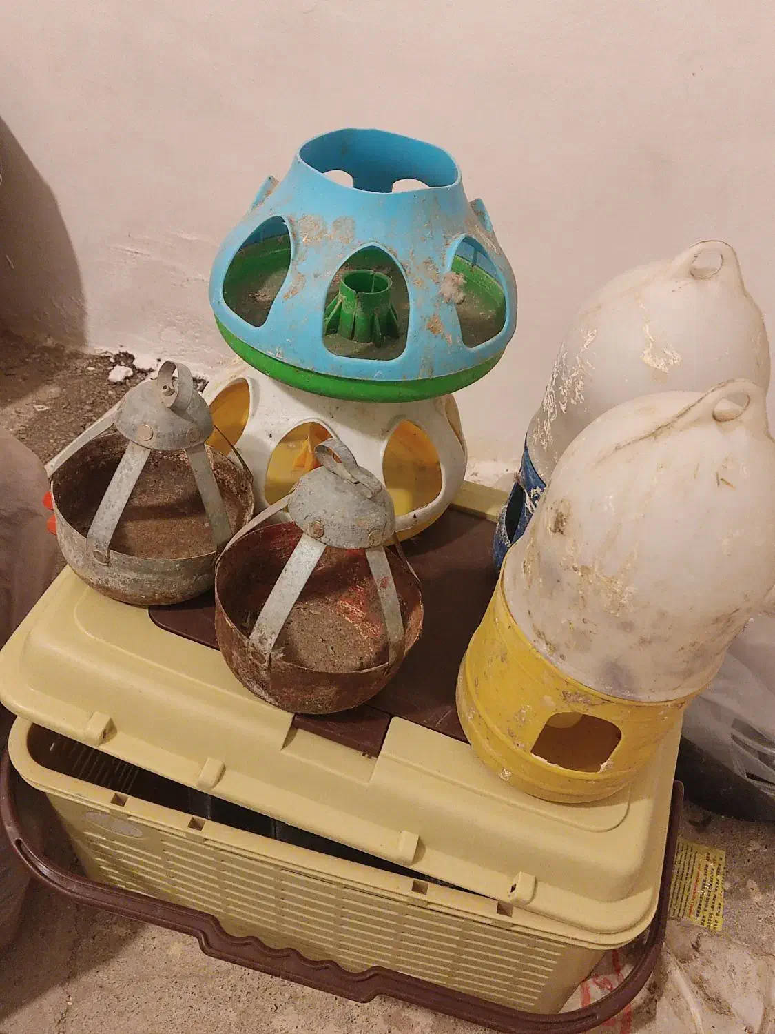 آبخوری کفتر جوجه|لوازم جانبی حیوانات|مشهد, نظام دوست|دیوار