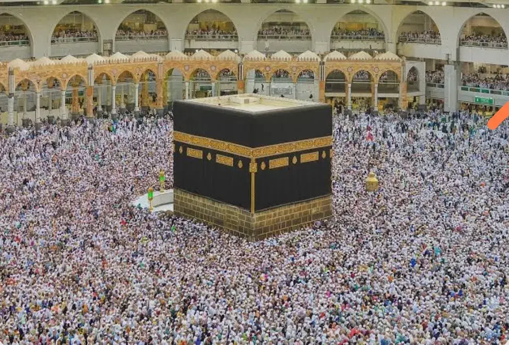 دو عدد فیش حج تمتع ۸۵ «فروشی»|تور و چارتر|شیراز, گلشن|دیوار