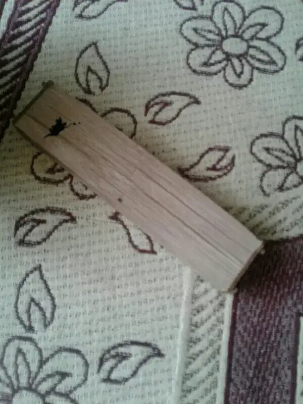 فروش جاخودکاری وجاقاشقی|صنایع دستی و سایر لوازم تزئینی|شیراز, لاله|دیوار