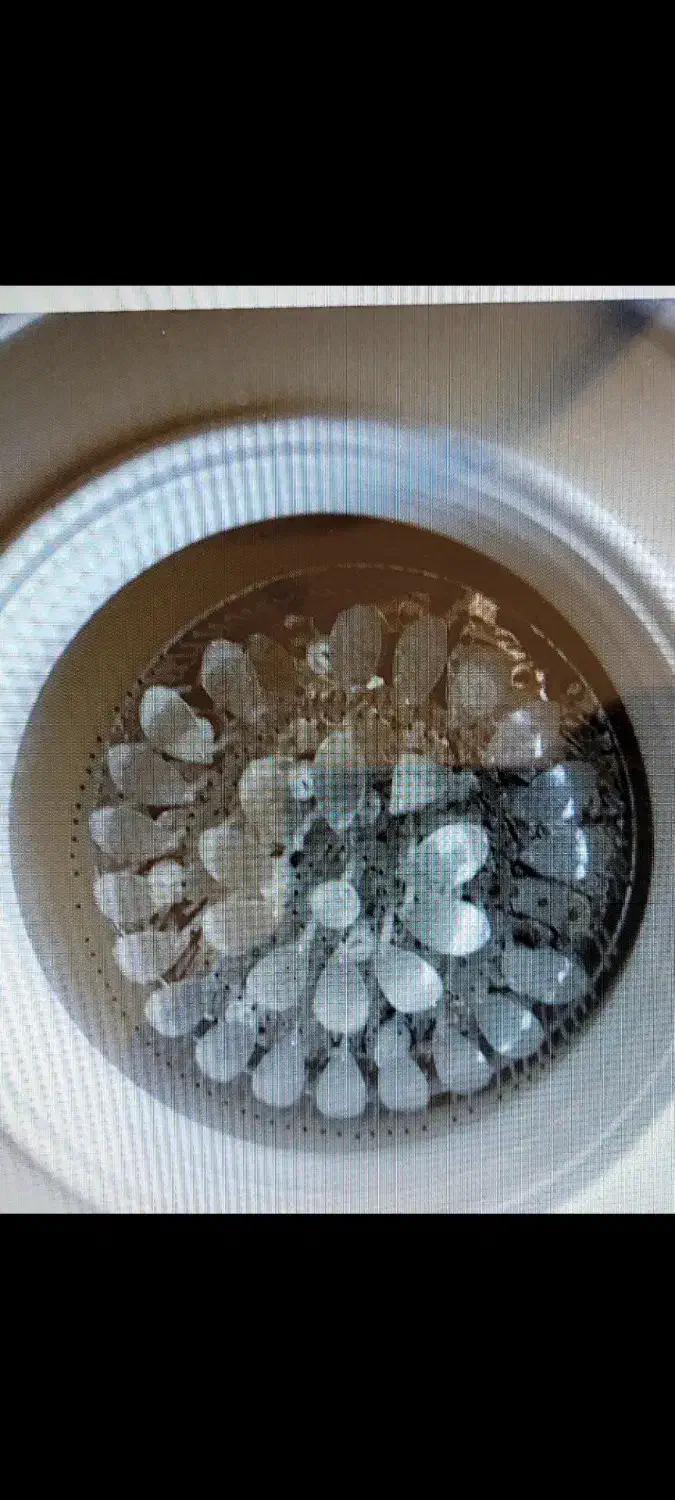 لوستر کریستالی|لوستر و چراغ آویز|مشهد, حجاب (شهرک غرب)|دیوار