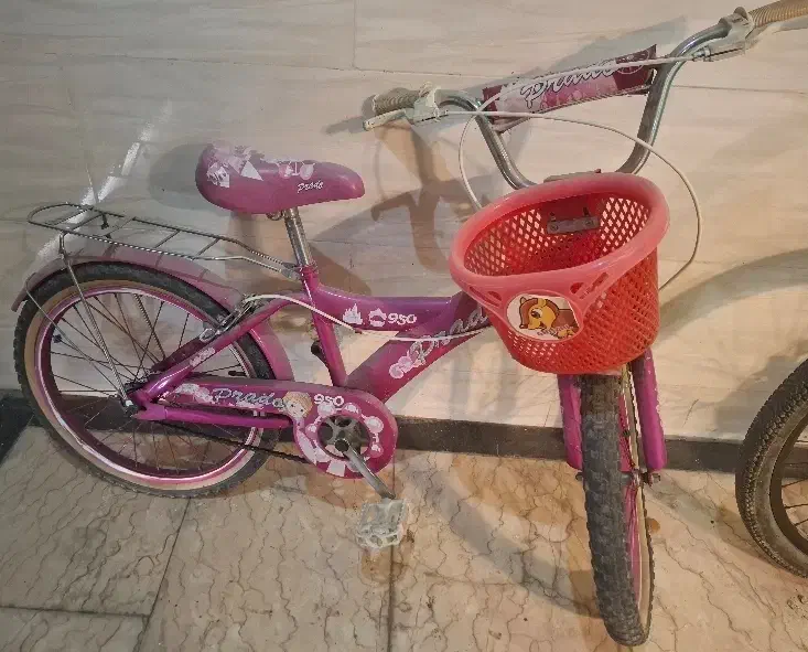 دوچرخه بچگانه|دوچرخه، اسکیت، اسکوتر|کیش, |دیوار