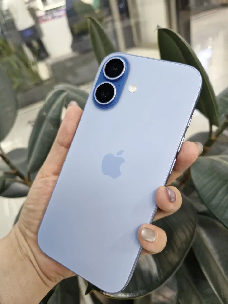 iPhone/17n blu titan/معاوضه و اقساط|موبایل|اصفهان, مفتح|دیوار