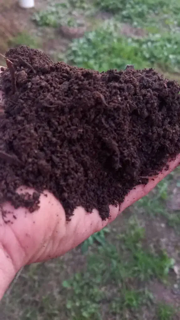 فروش خاک سینی نشا|خدمات باغبانی و درختکاری|املش, |دیوار