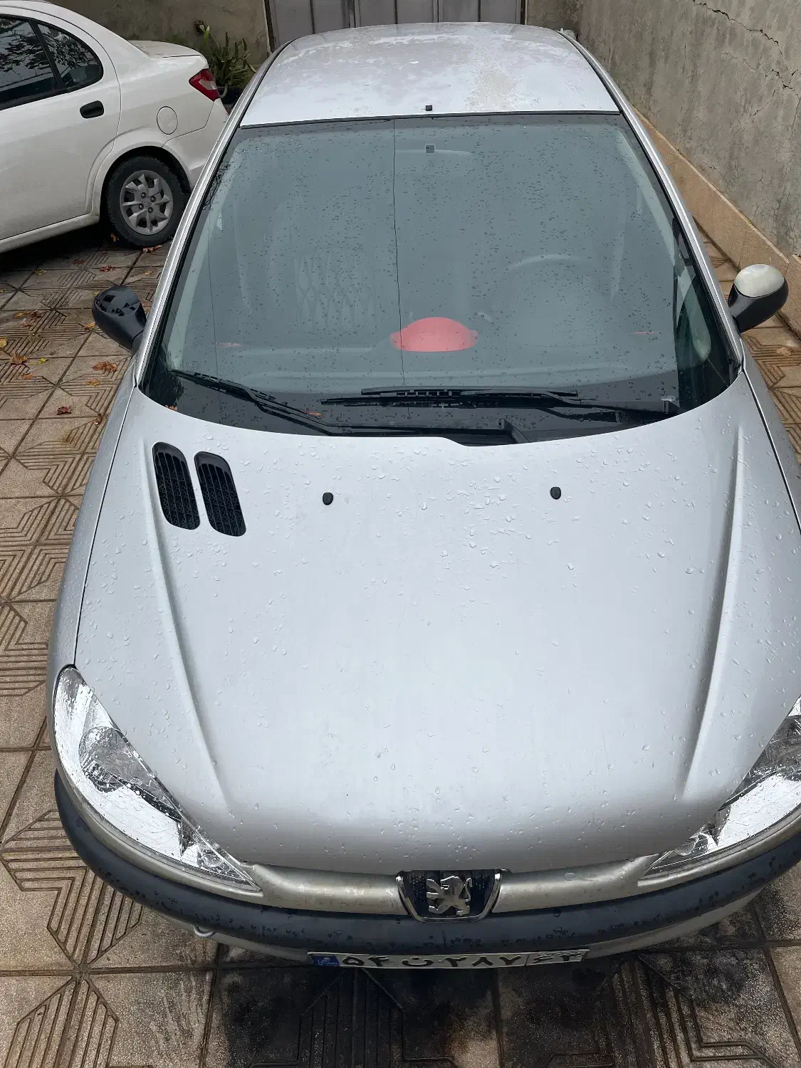 206 مدل 86 تمیز|خودرو سواری و وانت|شیراز, رکنآباد|دیوار