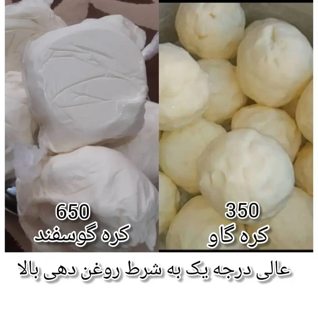 کره گاو گوسفند به شرط روغن دهی بالا|خوردنی و آشامیدنی|مرودشت, رودبال|دیوار