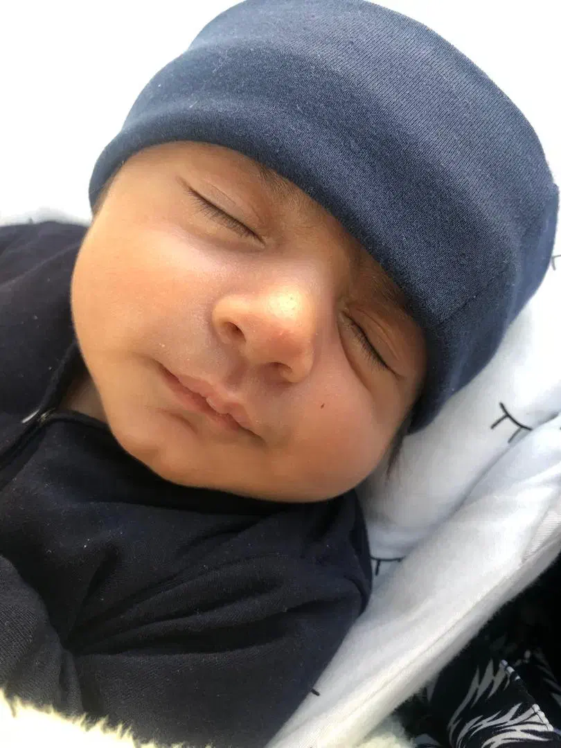 شناسنامه به نام هامان رشوند|اشیا|اهواز, زیتون کارمندی|دیوار