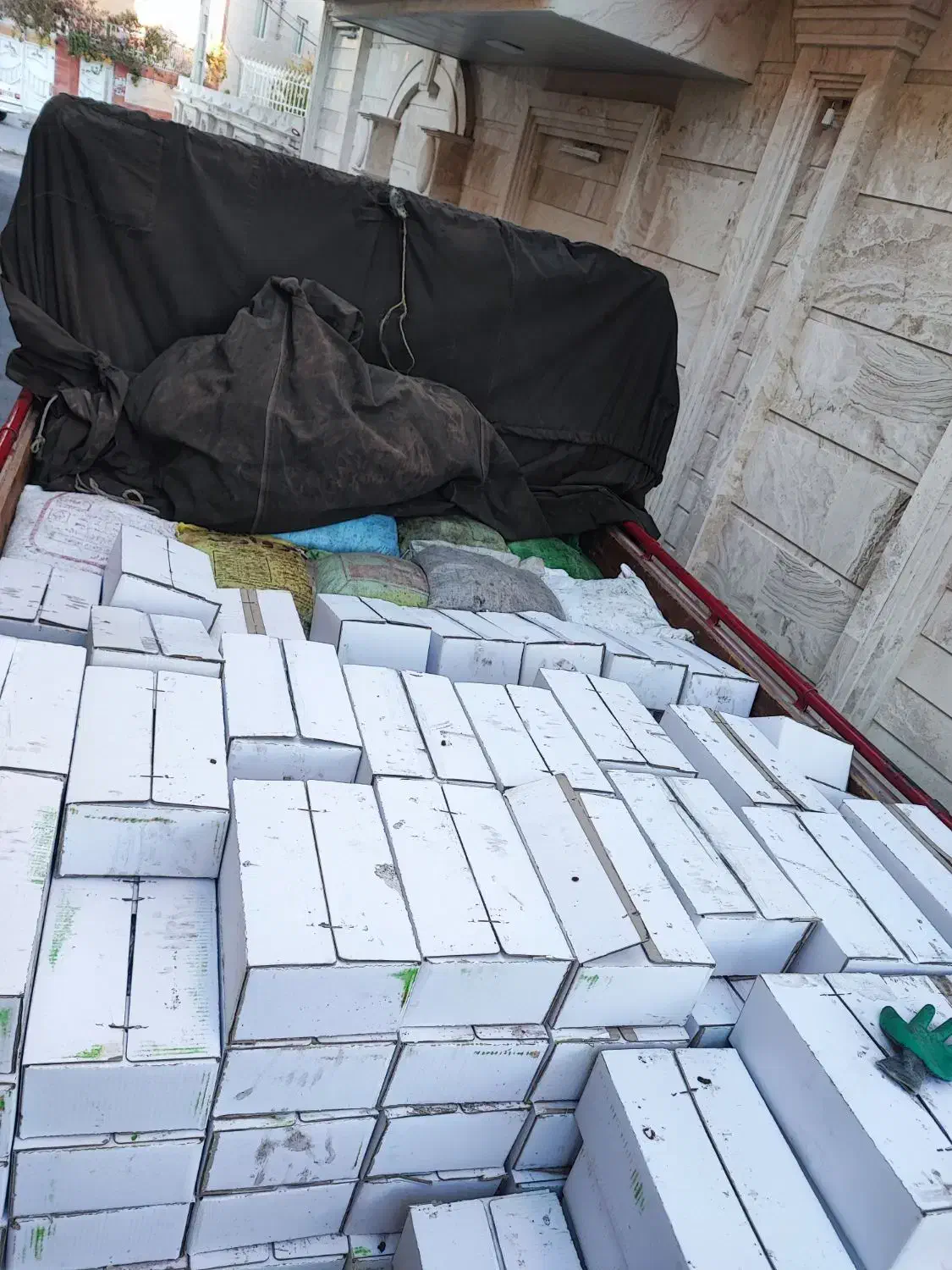 کشمش|عمده‌فروشی|تاکستان, |دیوار