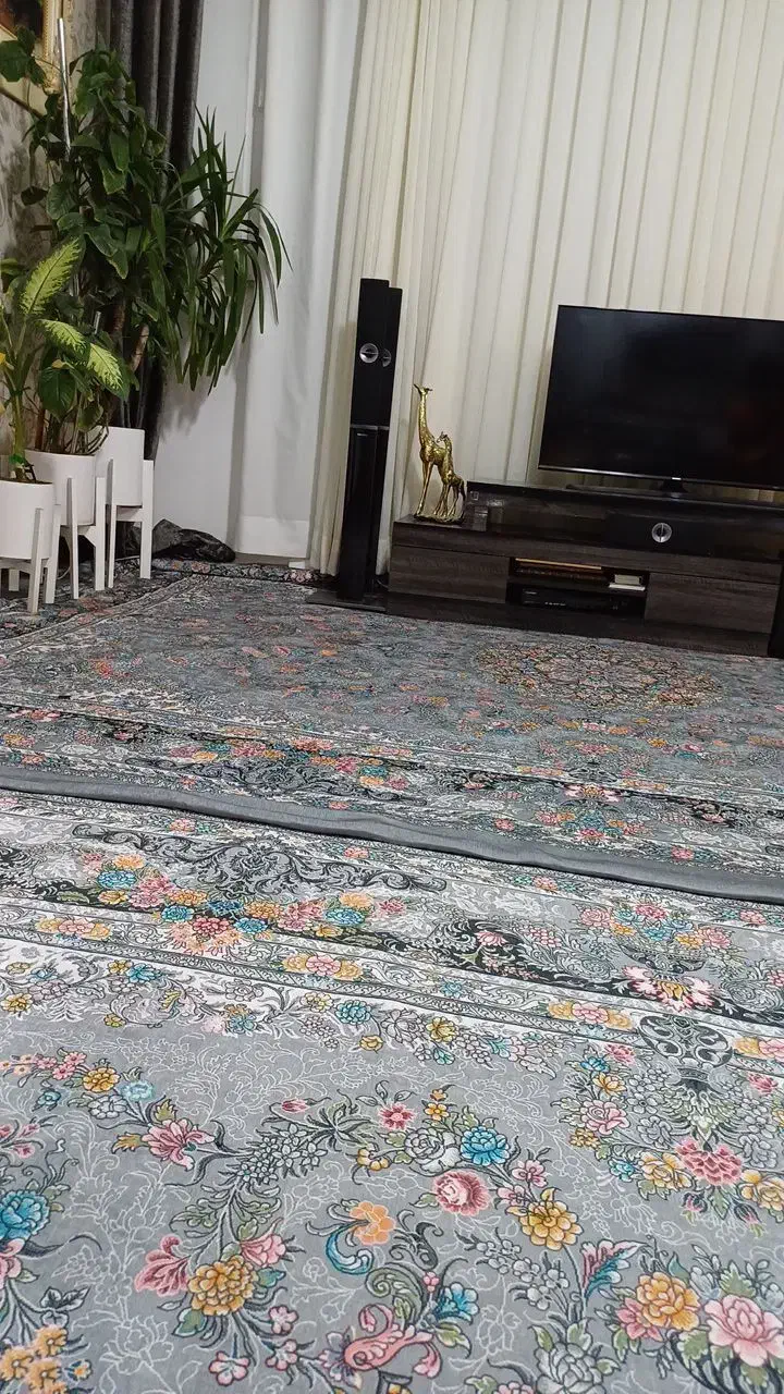 روفرشی،کشدار|روفرشی|مشهد, کشف|دیوار