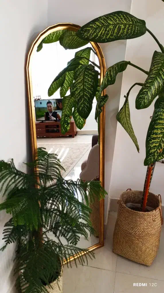 آینه قدی|آینه|فیروزآباد (فارس), |دیوار