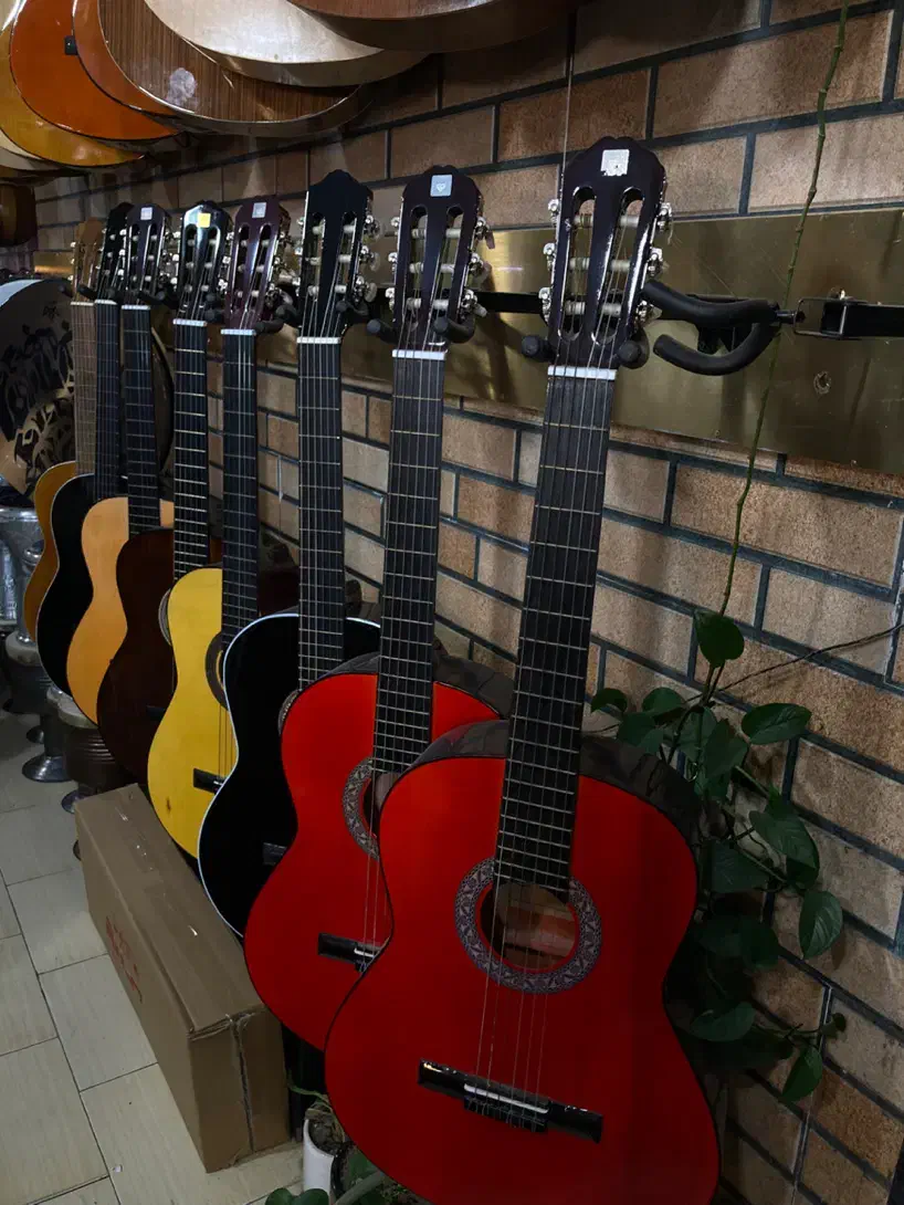 فروش و آموزش گیتار(ًچکی و نقدی)|گیتار، بیس، امپلیفایر|قدس, شهر‌قدس|دیوار