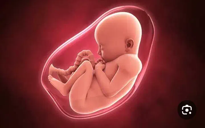 اهدای تخمک ورحم اجاره ای|فعالیت داوطلبانه|گرگان, |دیوار