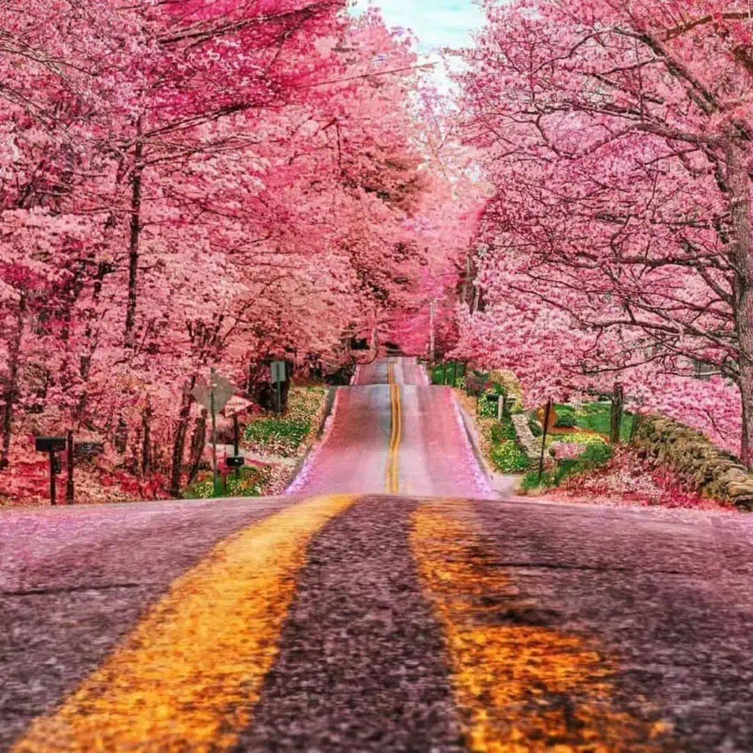 فروش منزل|فروش آپارتمان|تربتحیدریه, یحیی آباد|دیوار