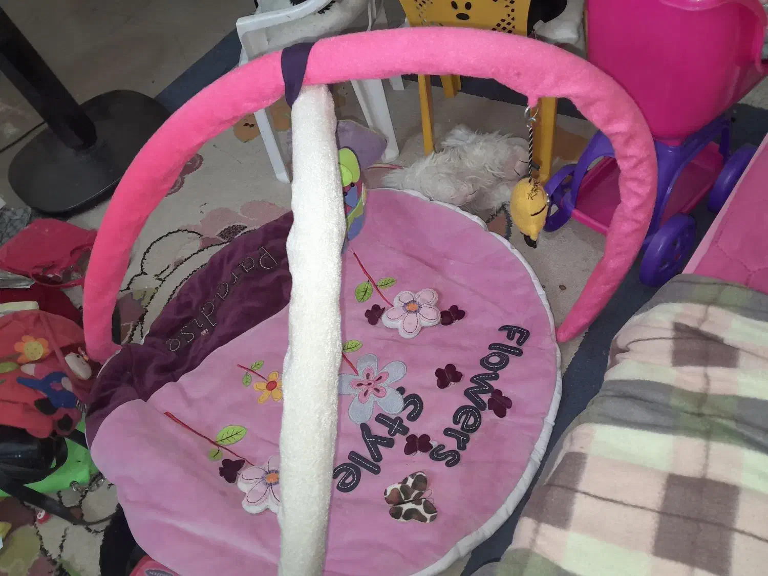 لباس بچگانه|اسباب‌‌بازی|شیراز, شیخ علی چوپان|دیوار