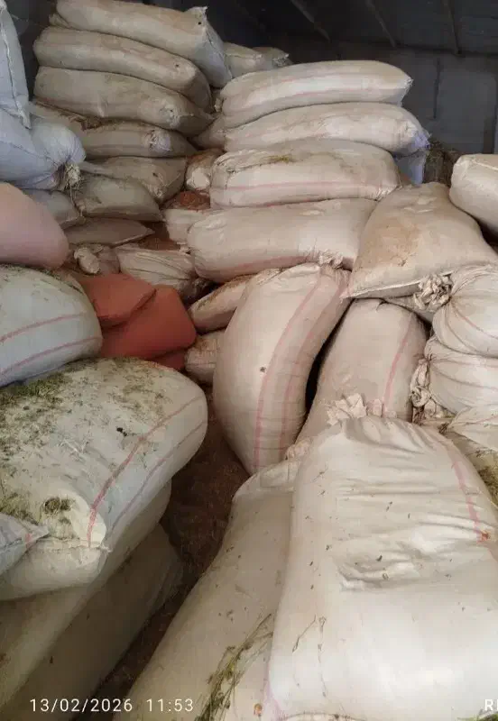 کاه گندم|لوازم جانبی حیوانات|سملقان, |دیوار