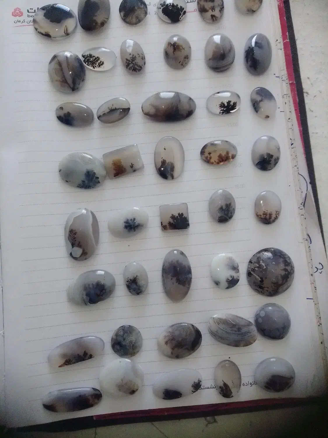 گردن بندعقیق وتعدادی نگین شجر|جواهرات|بم, |دیوار