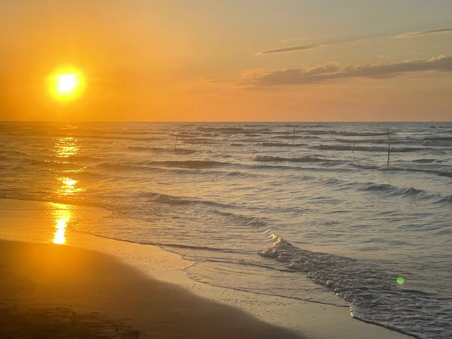 مسافر به یزد|خدمات حمل و نقل|خضر آباد, |دیوار