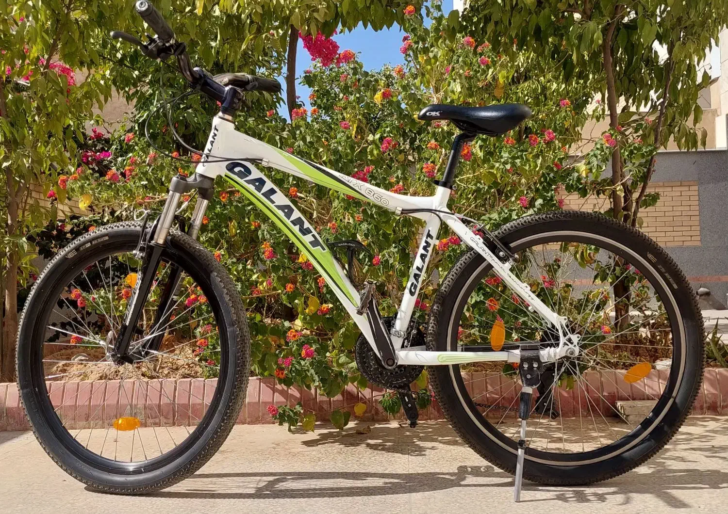 دوچرخه 26 گالانت اصل تایوان|دوچرخه، اسکیت، اسکوتر|شیراز, امام حسین|دیوار