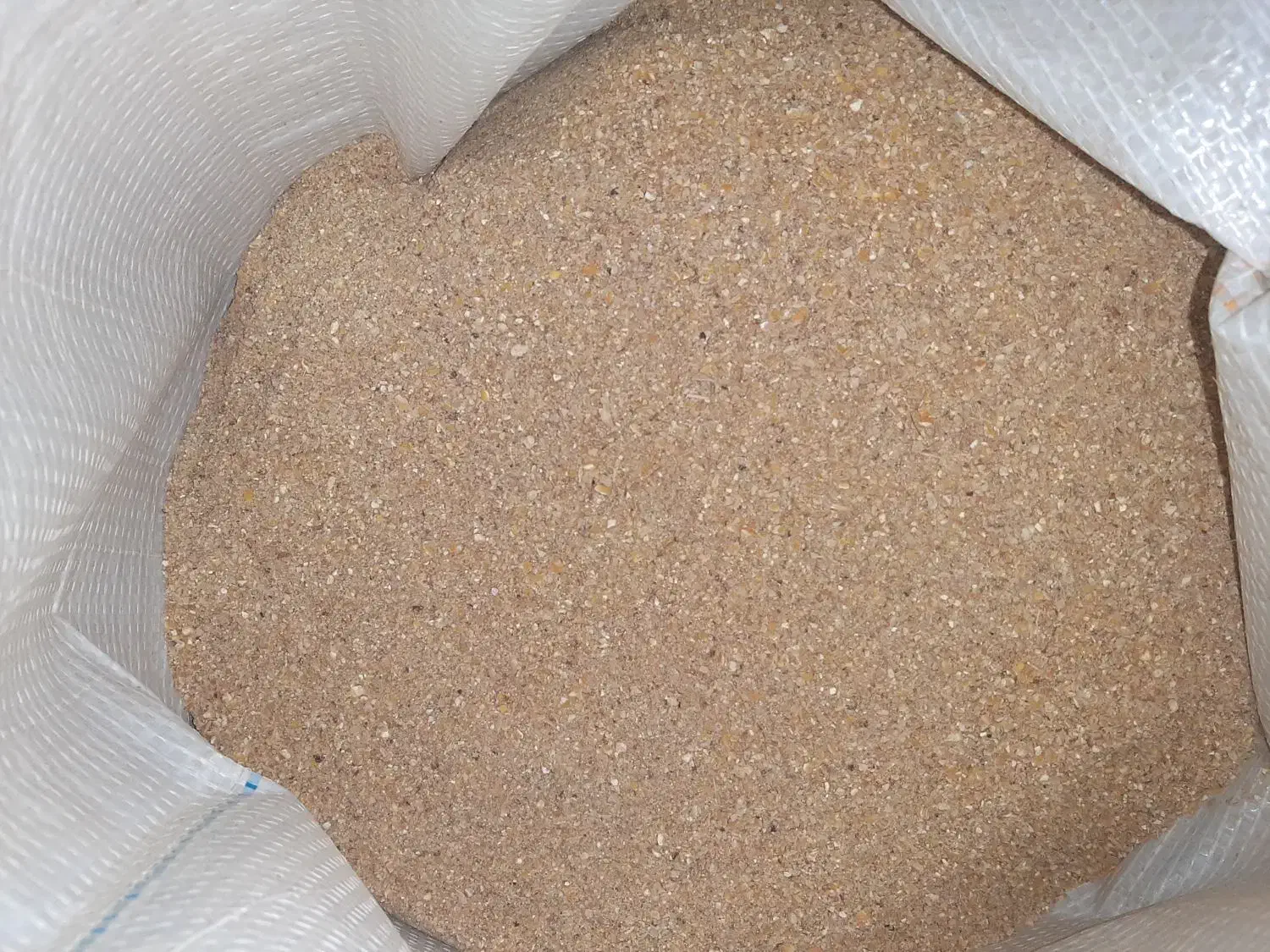 دان مرغ تخمگذار|حیوانات مزرعه|قنوات, |دیوار