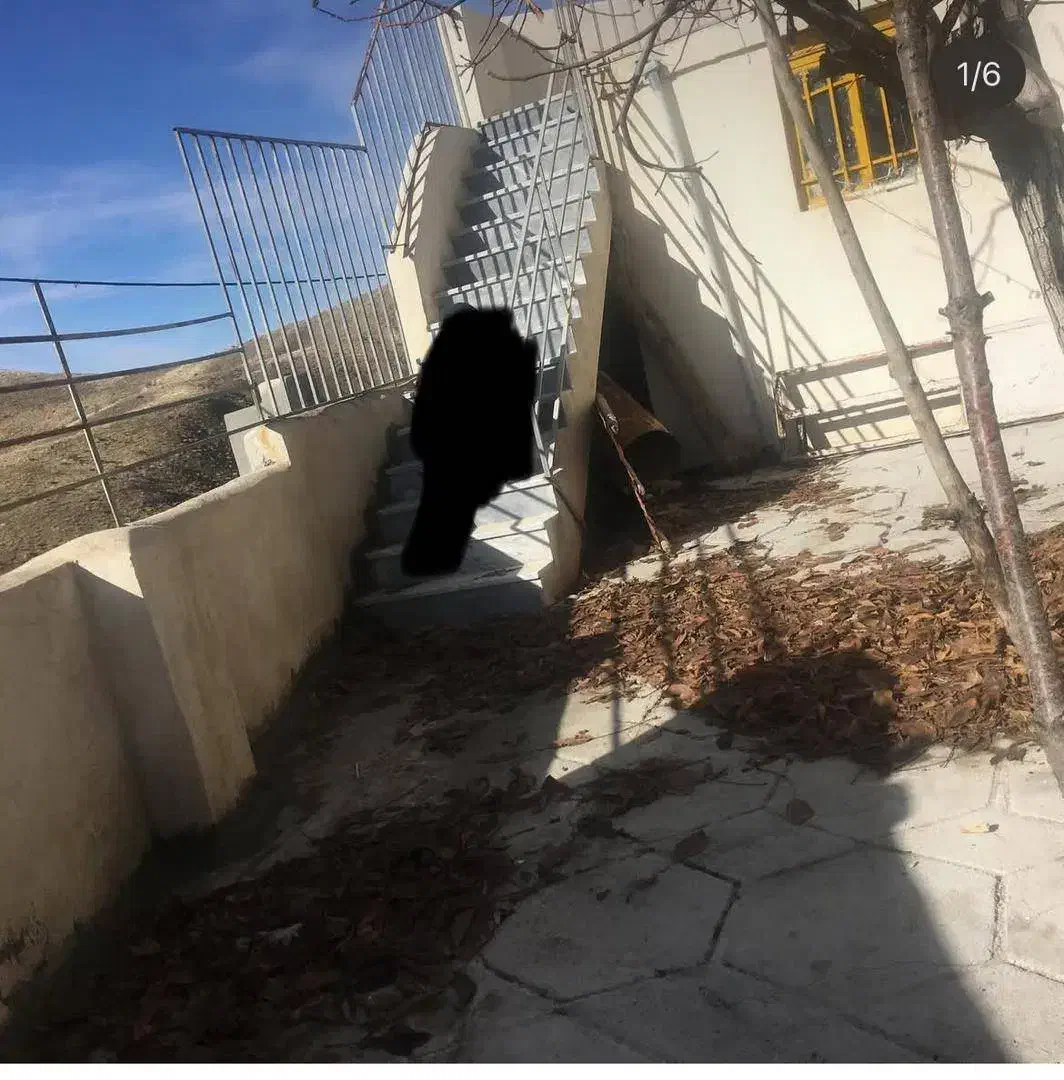 زمین کشاورزی و باغ و ویلا|فروش دفتر صنعتی، کشاورزی، تجاری|صحنه, |دیوار