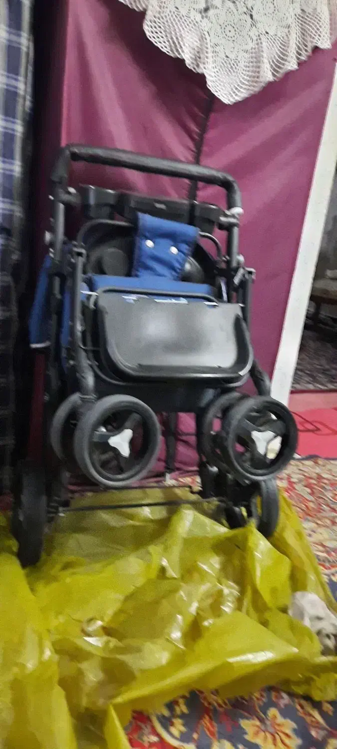 کالسکه دلیجان تاشو|کالسکه و لوازم جانبی|همدان, |دیوار