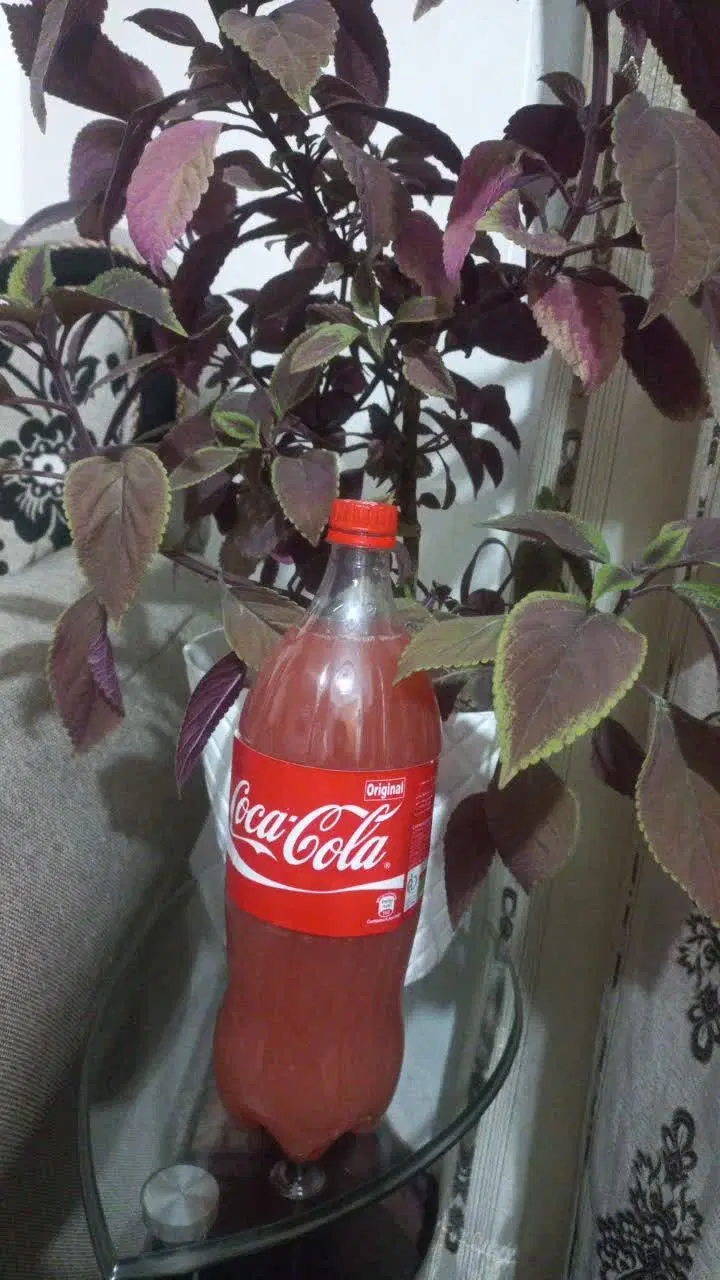 ابغوره|خوردنی و آشامیدنی|گلپایگان, |دیوار