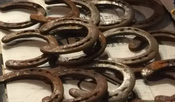 نعل اسب کهنه کارکرده|اسب و تجهیزات اسبسواری|تهران, تجریش|دیوار