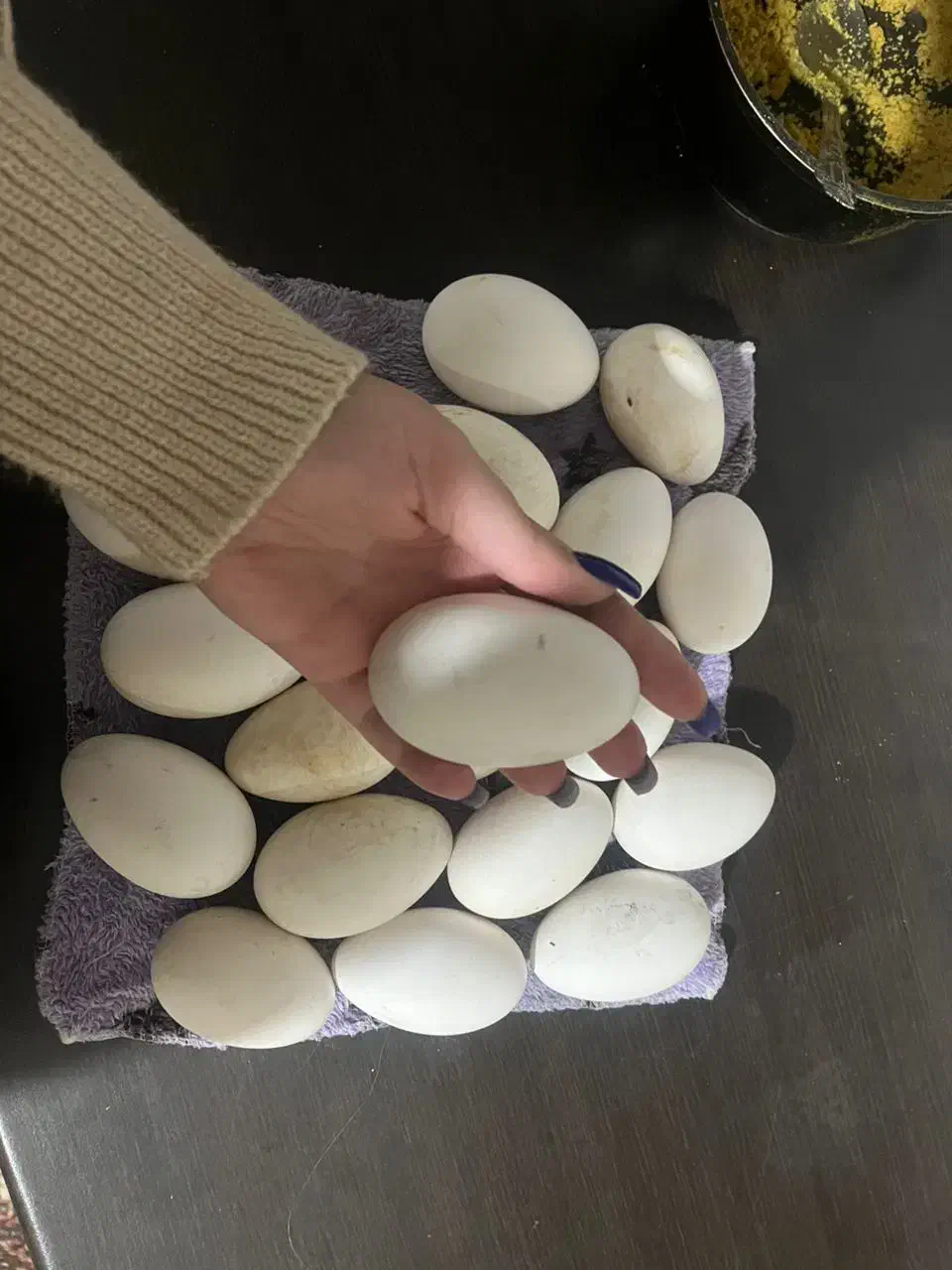 تخم غاز|حیوانات مزرعه|اسلام‌شهر, شهرک احمدیه|دیوار