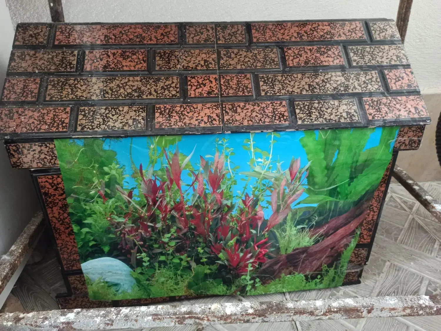 آکواریوم|ماهی|مرند, |دیوار