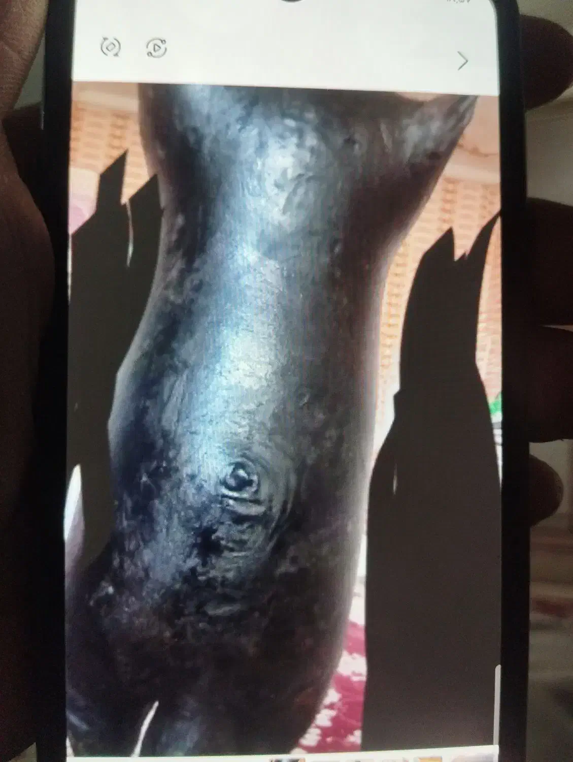 هیزه  ۱۰منی|ظروف پخت‌وپز|کرمانشاه, |دیوار