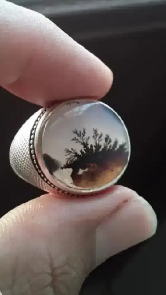 انگشتر شجر|جواهرات|قزوین, |دیوار