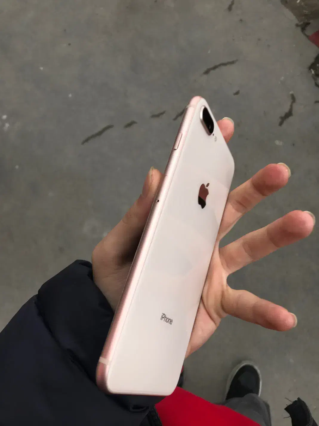 iPhone 8plus|موبایل|تبریز, |دیوار