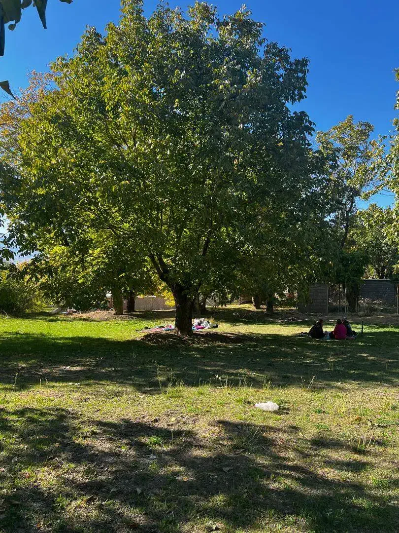 نگهبان|استخدام سرایداری و نظافت|لاران, |دیوار