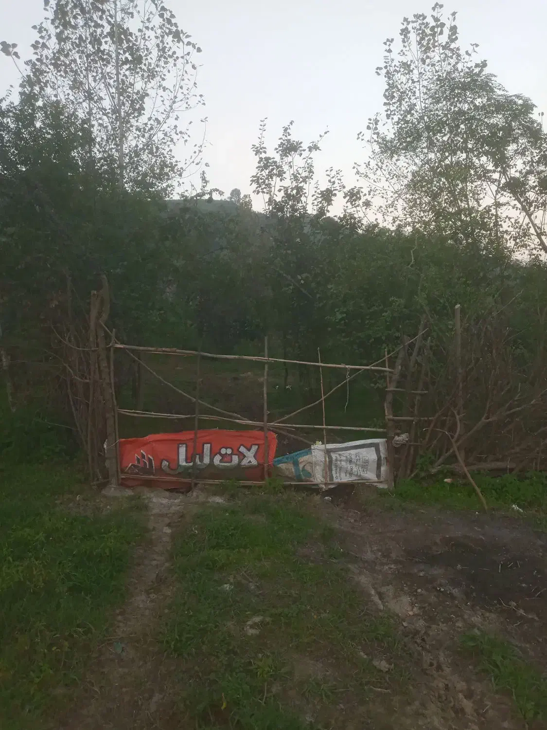 فروش ۴۵۰ متر متری شش میلیون تومان است|فروش دفتر صنعتی، کشاورزی، تجاری|اطاقور, |دیوار