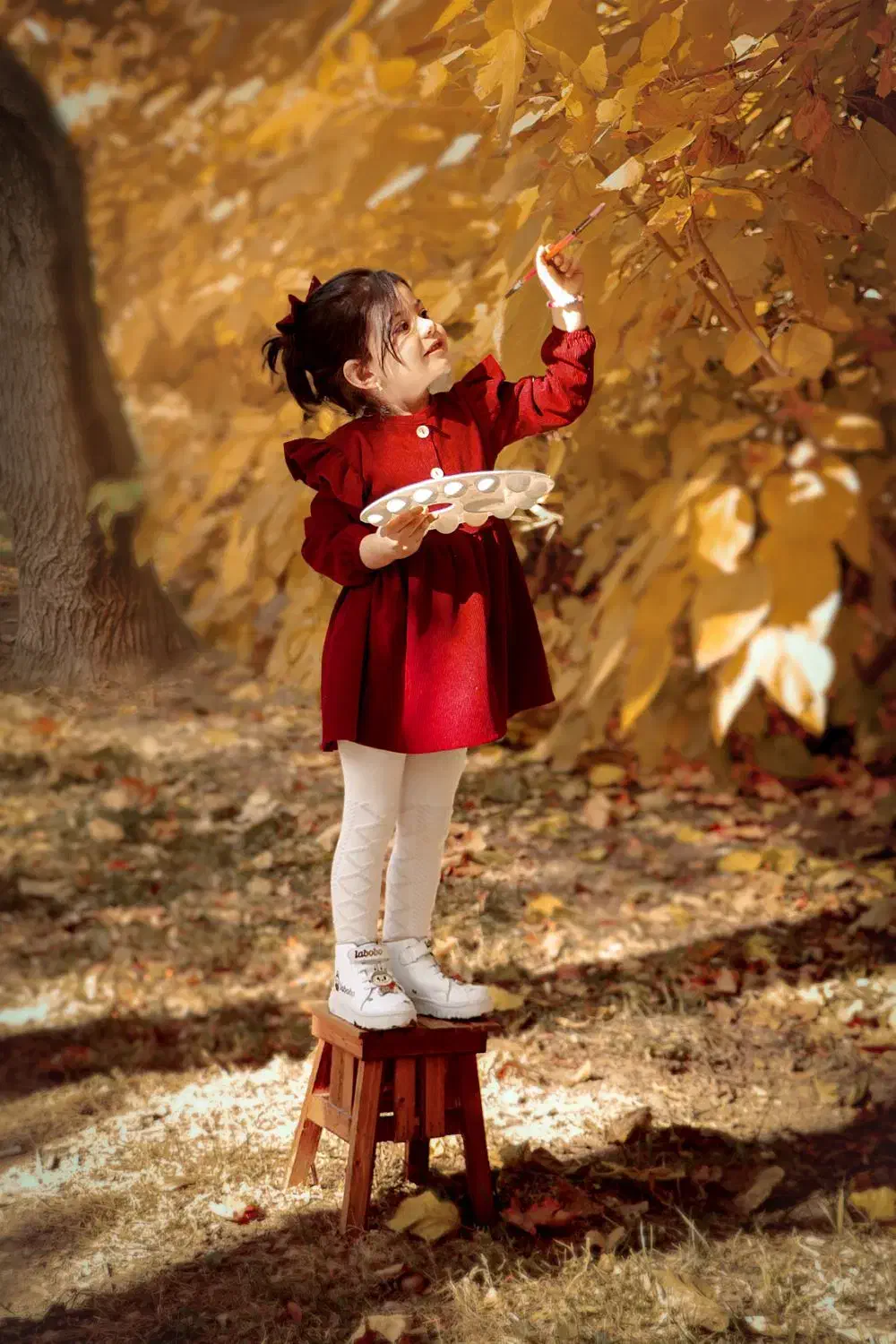 عکاسی|خدمات پذیرایی، مراسم|اصفهان, پارک سلمان فارسی|دیوار