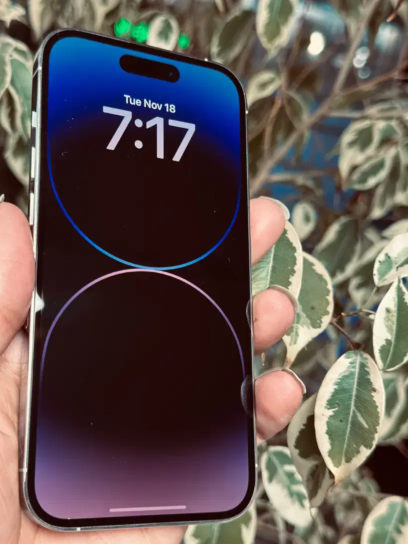 14pro zaa|موبایل|رشت, پاستوریزه|دیوار