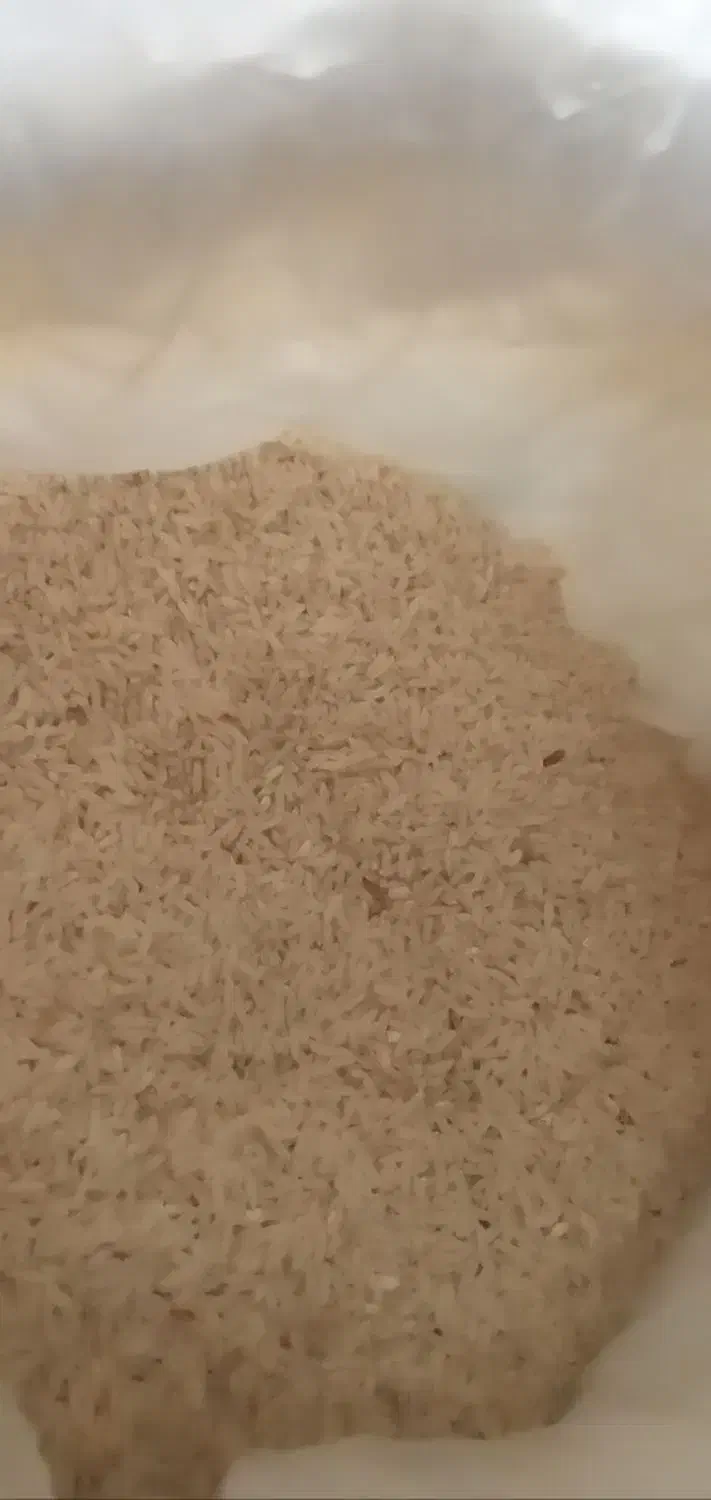 برنم کلات|حراج|مشهد, قائم|دیوار