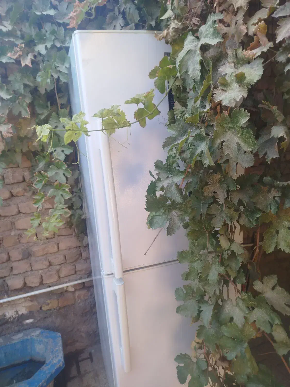 یخچال فریزر سیلور|یخچال و فریزر|تایباد, |دیوار